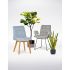 felix_ambiente_homepage_1479542599