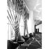 taxido_i140_ambiente_homepage